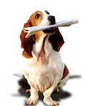 perro-educado