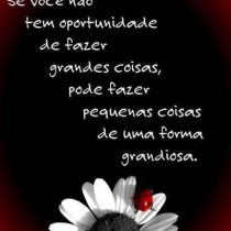 Se você não tem oportunidade de fazer grandes coisas