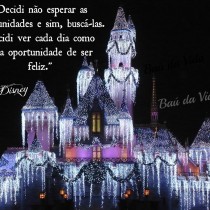 Decidi não esperar as oprtunidades